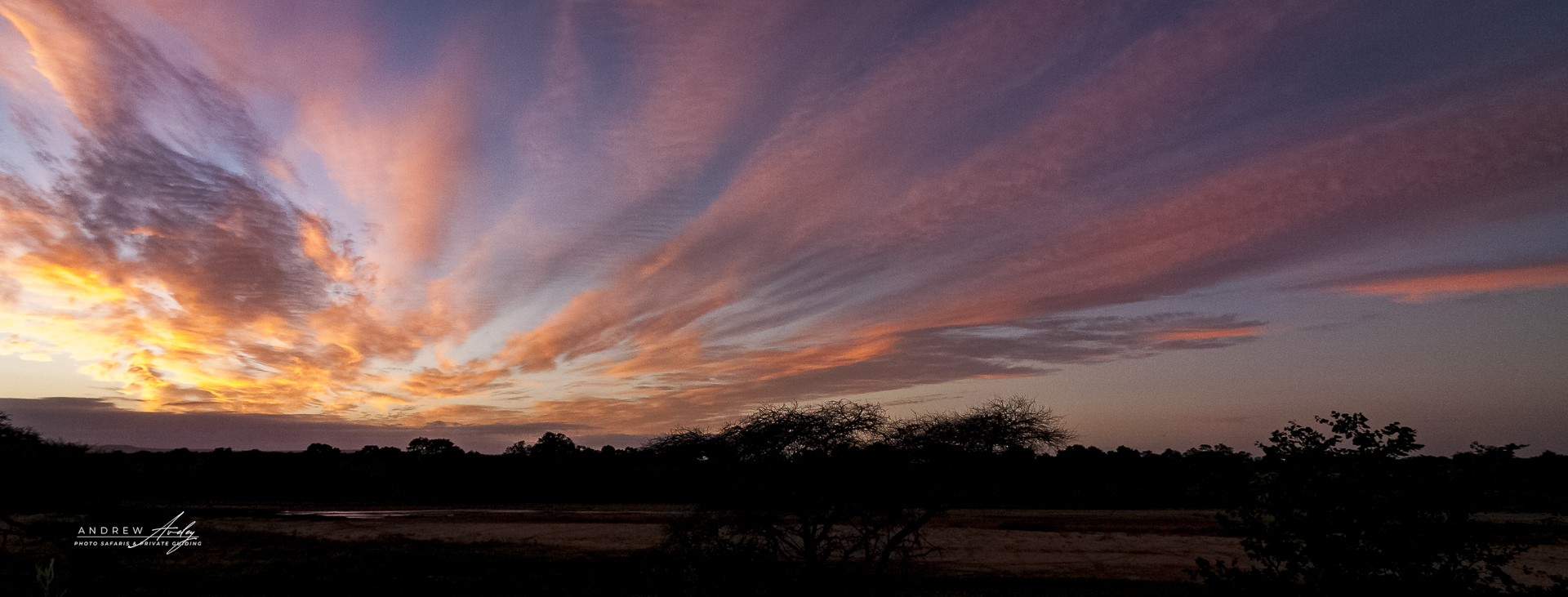 Wild Expressions Tailor-made African safaris